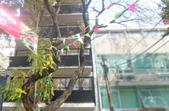 Desarrollo Inmobiliario Río Danubio