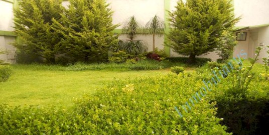 Aproveche amplia y cómoda casa en San Vicente Chicoloapan!