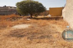 Vendo Terreno 550 M2 Los Reyes, Estado México. Uso Mixto.