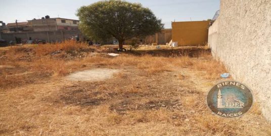 Vendo Terreno 550 M2 Los Reyes, Estado México. Uso Mixto.